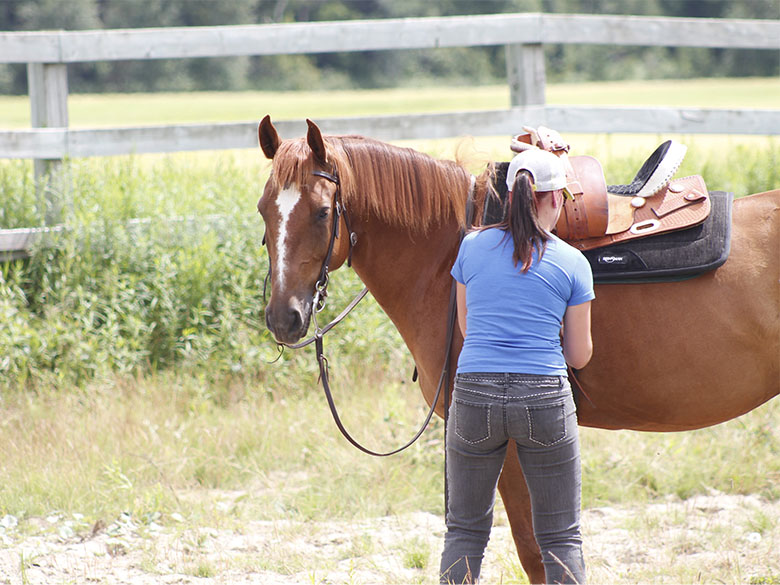 1h d'équitation thérapeutique pour 1 personne