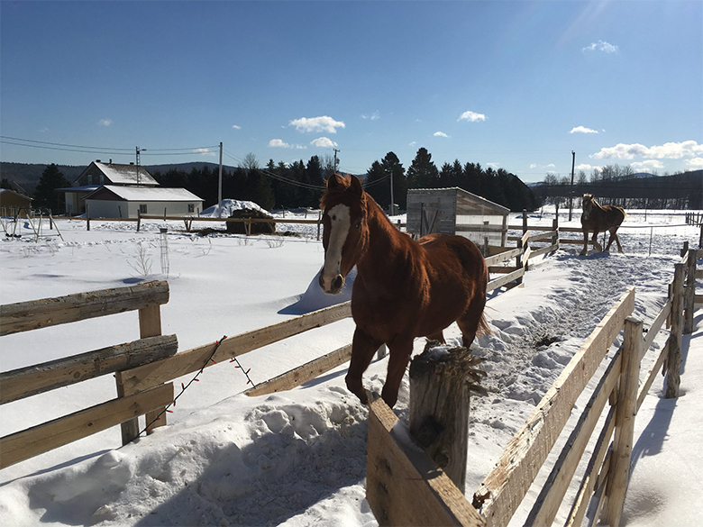 Photo – Ferme des Petits Torrieux – Camp Forestier – 2