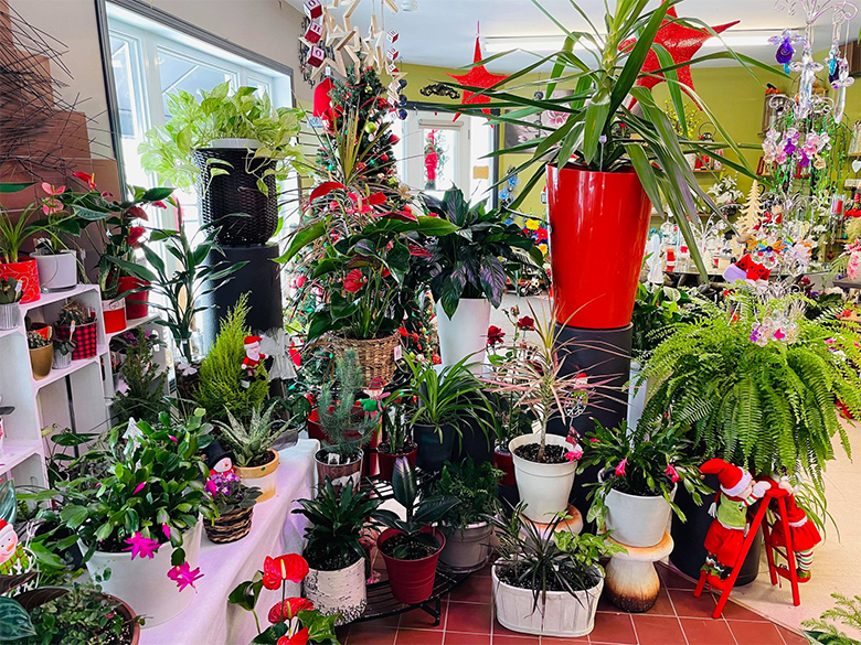 Fleuristeraymonde1