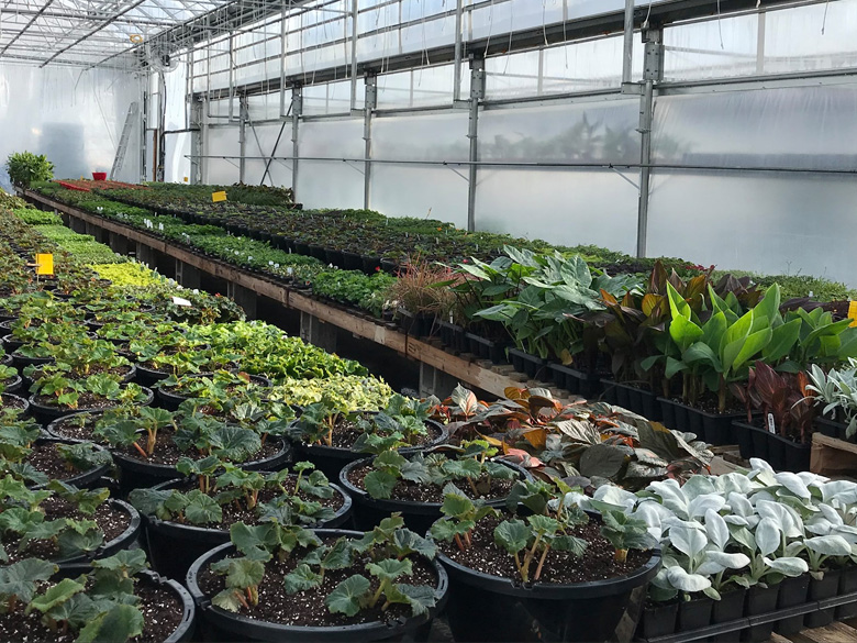lesjardinsgourmands10