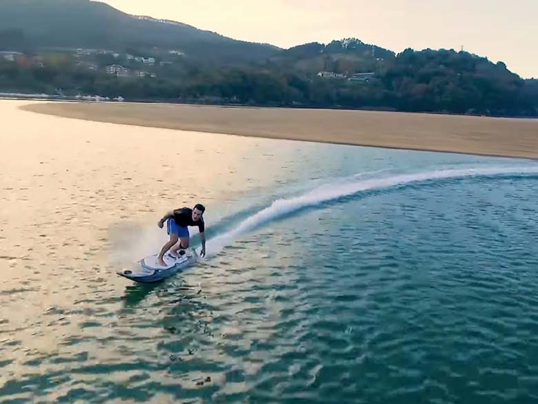 Surfevasion2