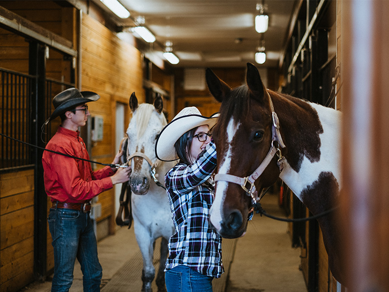 3h d'initiation aux chevaux et à l'équitation pour 5 personnes