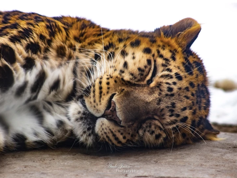 Aude Juan Photographie – 6