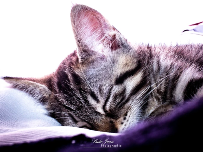 Aude Juan Photographie – 6