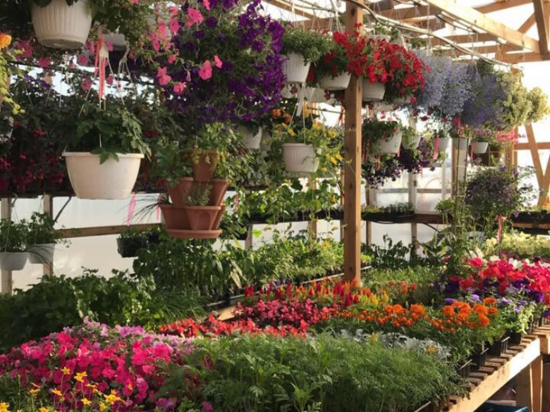 Magasinez au Jardin Magique à Landrienne