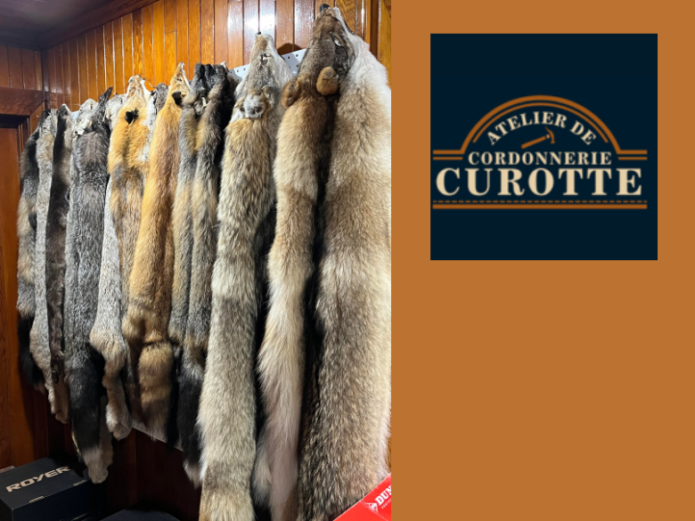 Photo – Curotte Coordonerie – 1