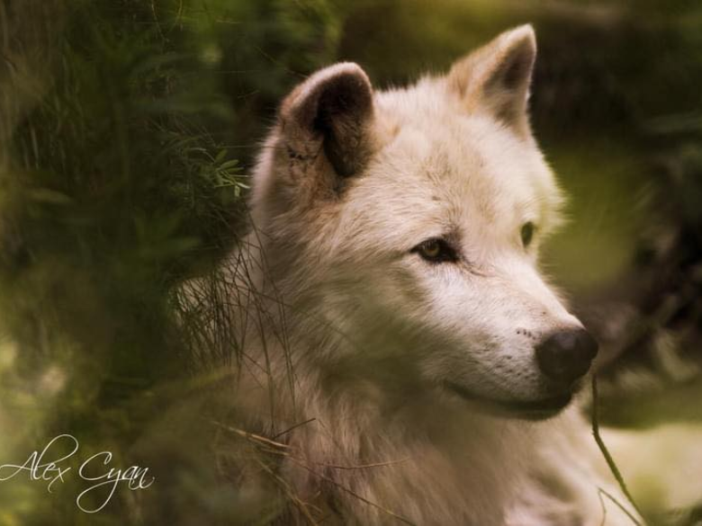 Refuge Filles des Bois – 4