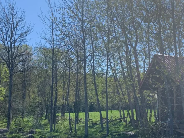 Photo – Ferme des Petits Torrieux – Camp Forestier – 2