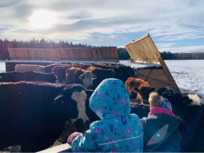 Photo – Ferme des Petits Torrieux – Camp Forestier – 2