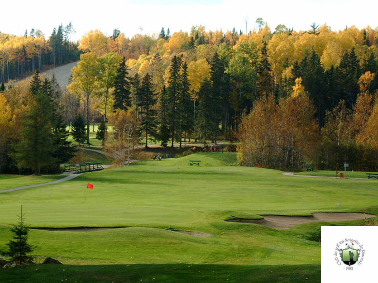 Foursome 18 trous+ 2 voiturettes