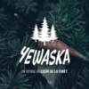 Yewaska