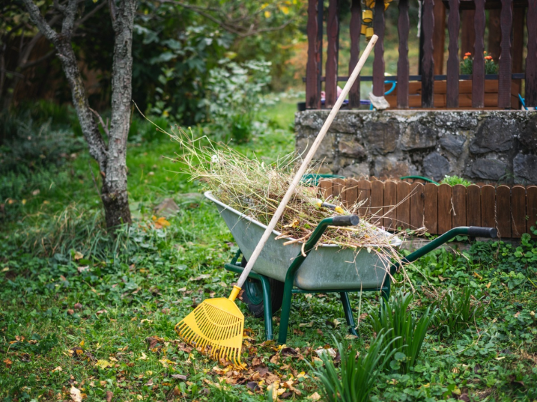 Photo – Abat Extermination – 3
