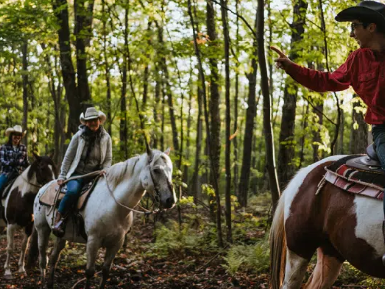 1h30 de randonnée à cheval pour 5 personnes