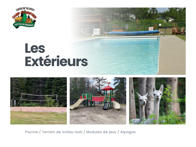 Photo – Camp Forestier – 11